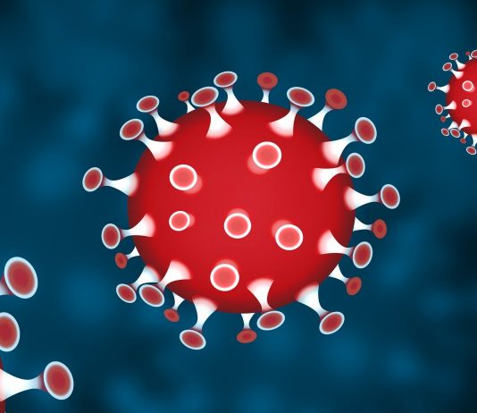 Corona virus Cina: trasmissione, sintomi e cura Trasmissione sintomi cura corona virus